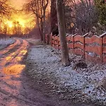 Dziki Brzeg Jezioraka Feriegård Zalewo (Ostroda)