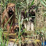 Feriegård Dziki Brzeg Jezioraka