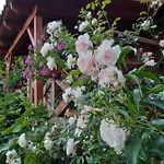 Feriegård Dziki Brzeg Jezioraka *