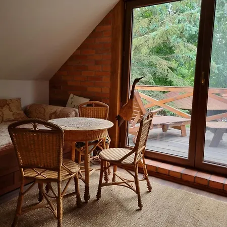 Dziki Brzeg Jezioraka *