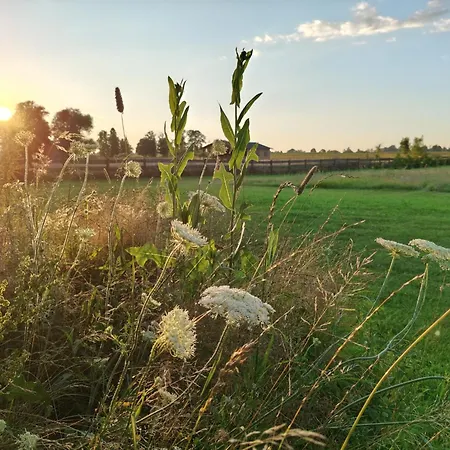 Bauernhof Dziki Brzeg Jezioraka Zalewo (Ostroda)