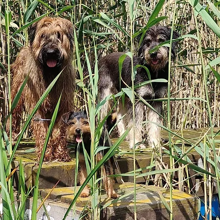 Bauernhof Dziki Brzeg Jezioraka