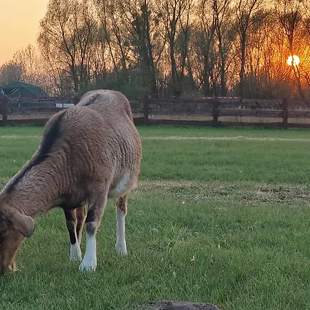 Farmház Dziki Brzeg Jezioraka