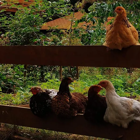 Dziki Brzeg Jezioraka Farmház