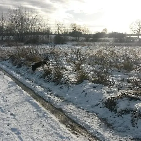 Dziki Brzeg Jezioraka Plajny