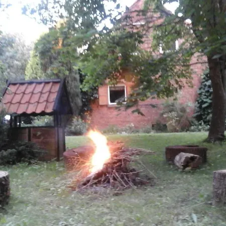 Dziki Brzeg Jezioraka Zalewo (Ostroda)