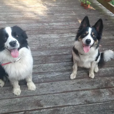 Dziki Brzeg Jezioraka Gospodarstwo agroturystyczne