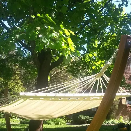 Dziki Brzeg Jezioraka *