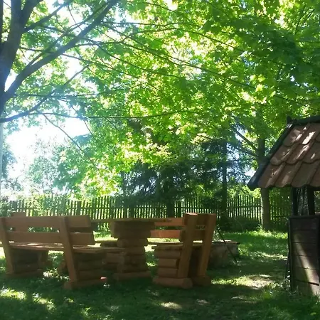 Dziki Brzeg Jezioraka * Zalewo (Ostroda)