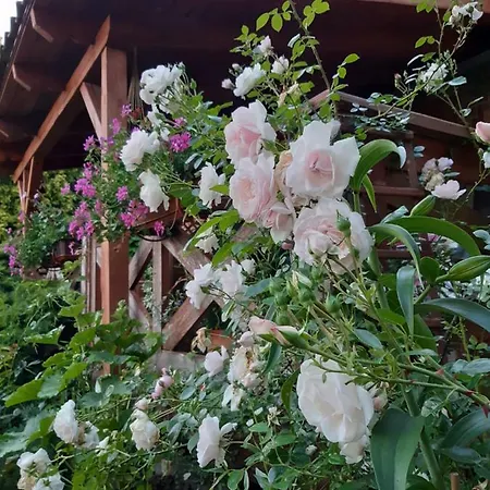 Bauernhof Dziki Brzeg Jezioraka *